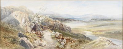 Banks of Locheal, Argyleshire by Thomas Miles II Richardson